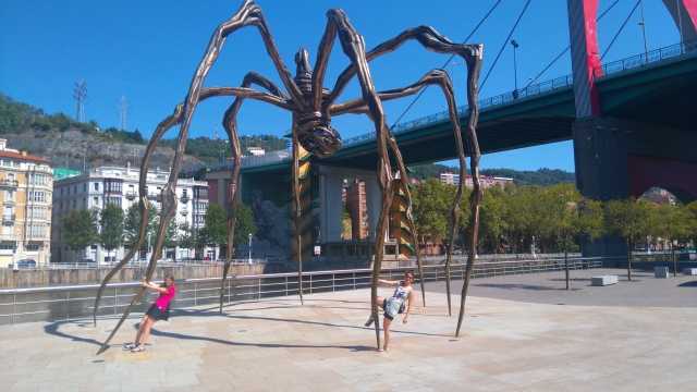 Camino Freunde an der Spinne